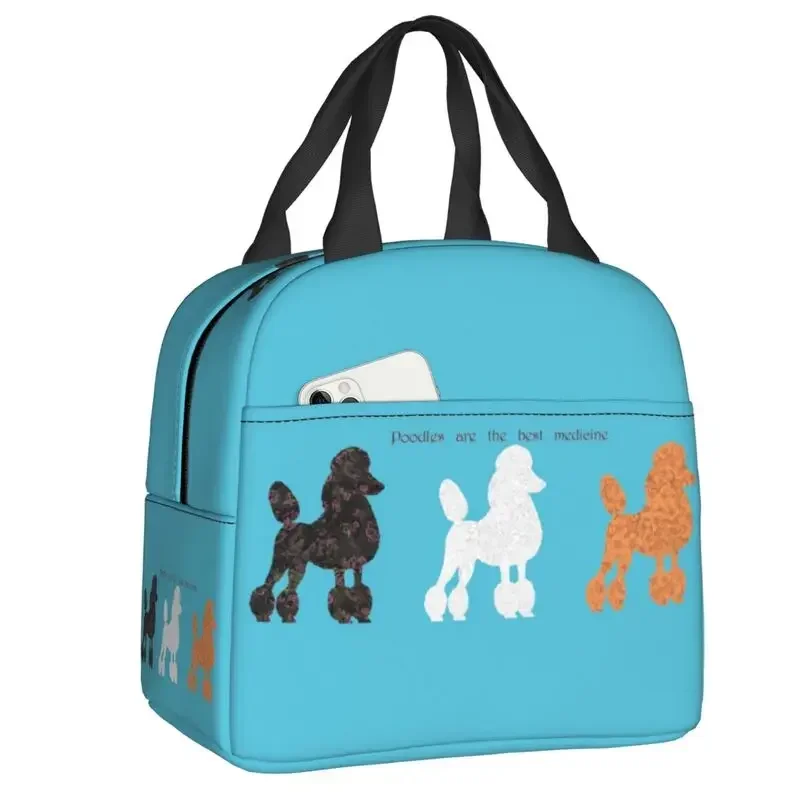 France Standard Poodle Insulat - огляд і ціна Women'S Best Bags For Work