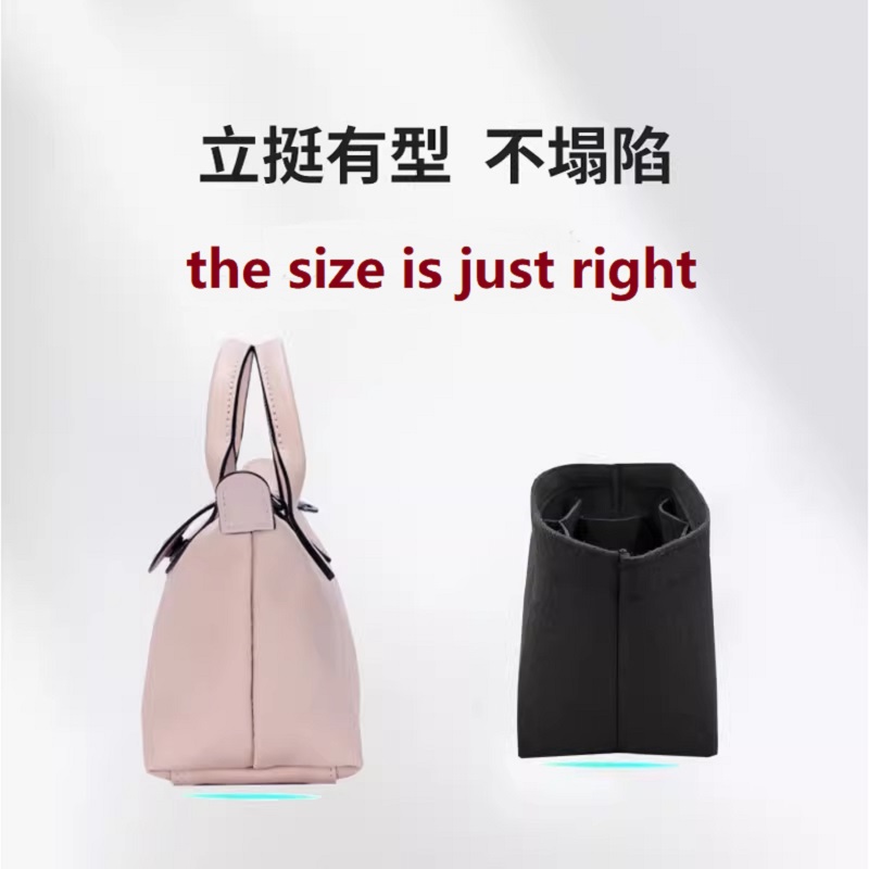 Bag Organizer For Longchamp En - огляд і ціна Women'S Bags Longchamp